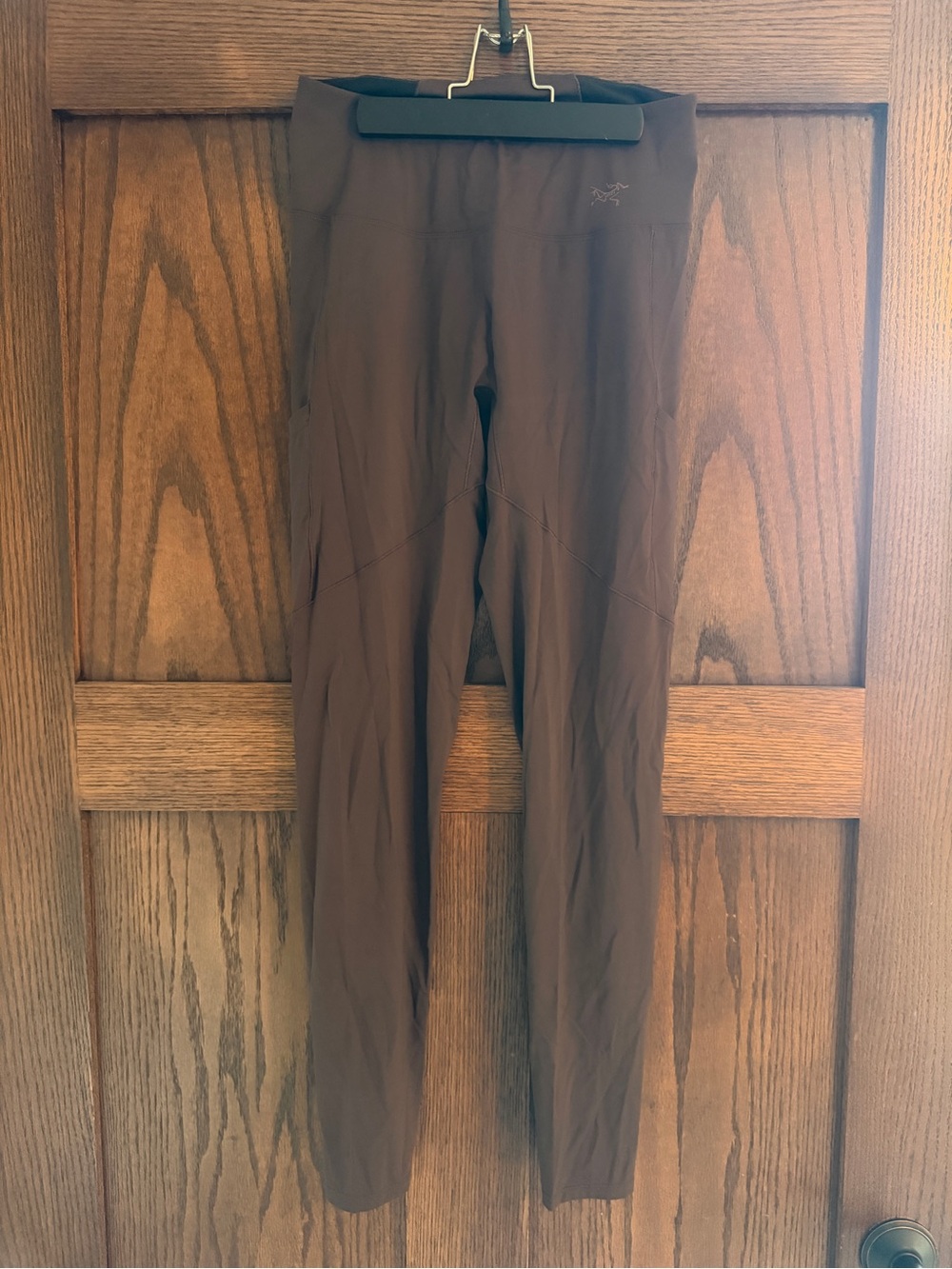 Arc'teryx Brownish Purple Women's Performance Leggings